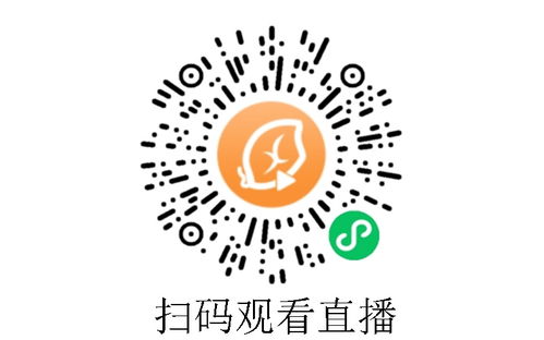 惠州易拓erp定制 九州開源 技術可靠 高品質高水準