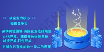 亞馬遜無貨源erp管理系統(tǒng),oem貼牌獨立部署無限開,批量采集編輯修改圖片
