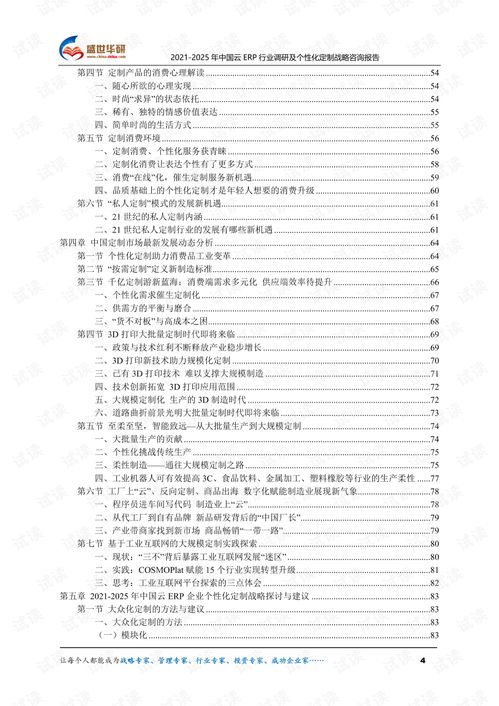 2021 2025年中國云erp行業(yè)調研及個性化定制戰(zhàn)略咨詢報告.pdf